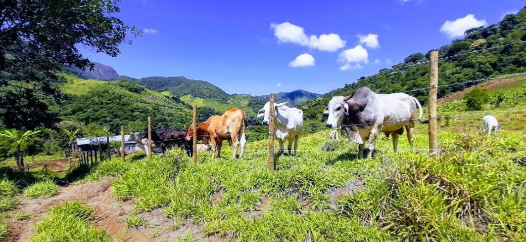 Fazendinha Paraiso لوميار المظهر الخارجي الصورة