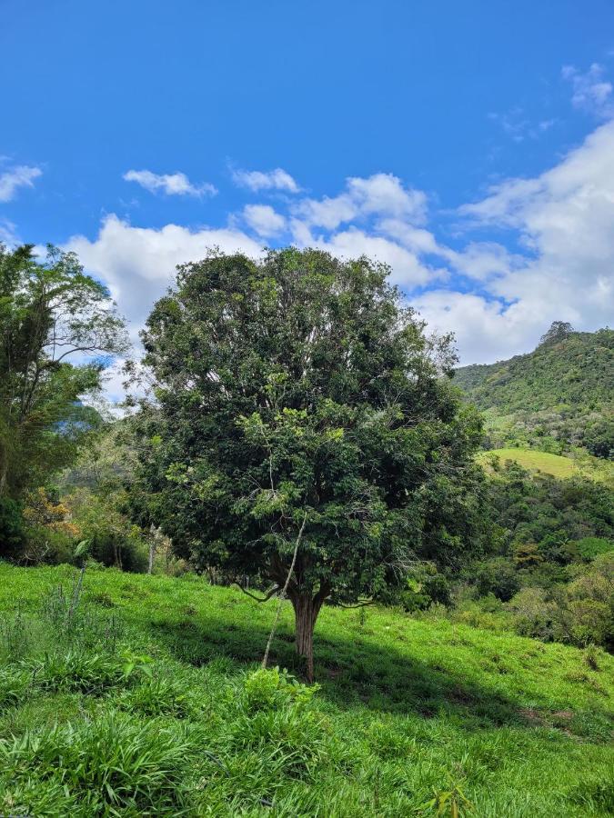 Fazendinha Paraiso لوميار المظهر الخارجي الصورة